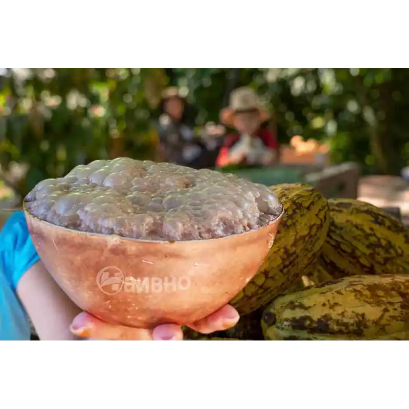 Chilate tradicional en polvo 200g