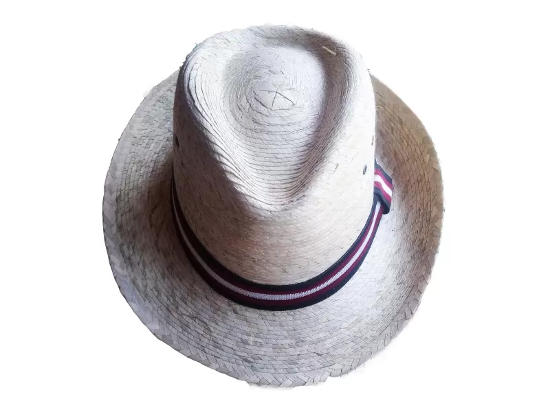 Sombrero de palma catrin (G)