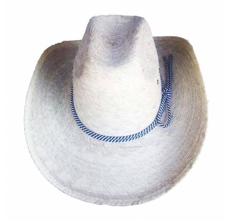 Sombrero de palma vaquero (G)